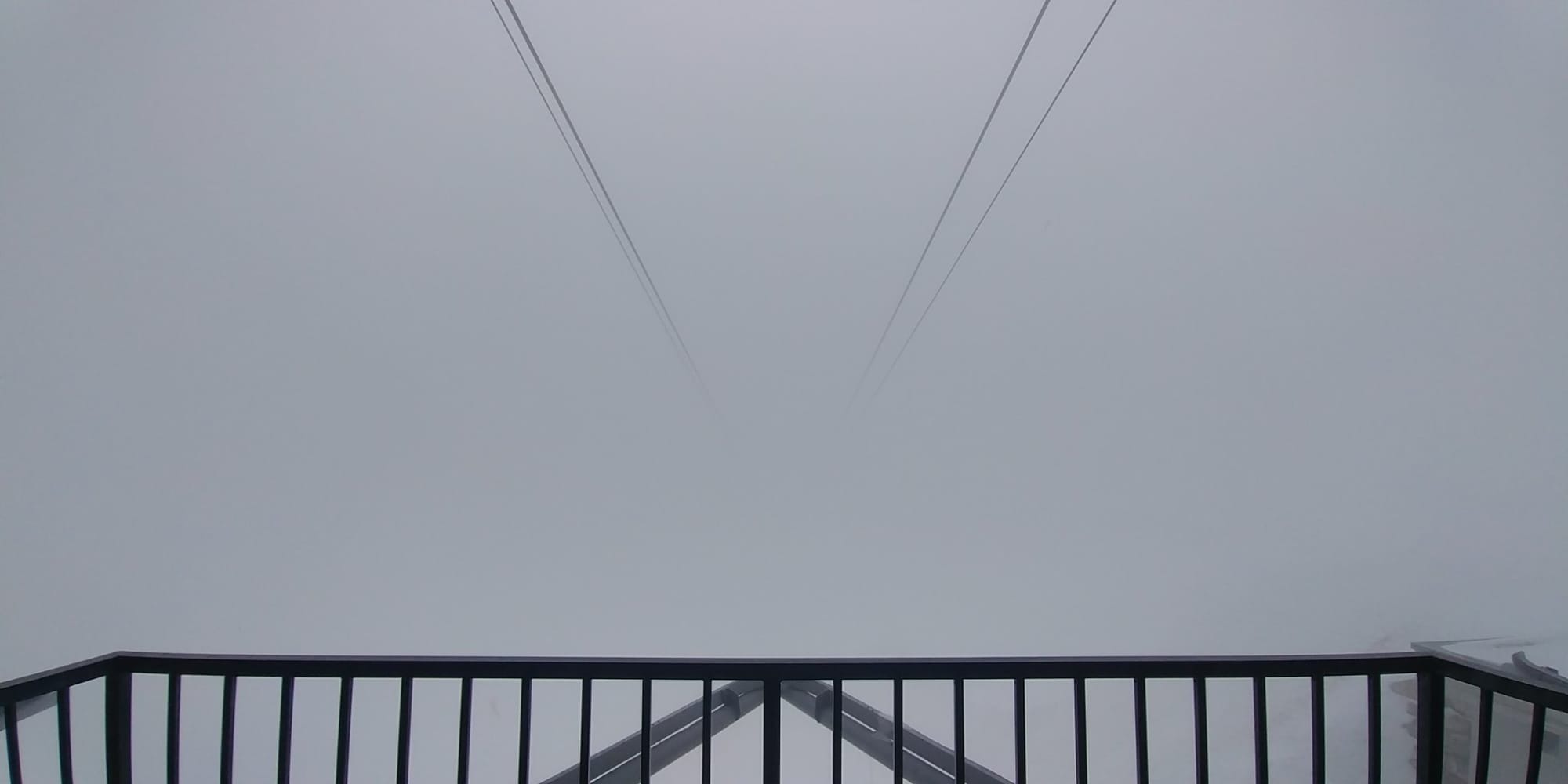 The Line